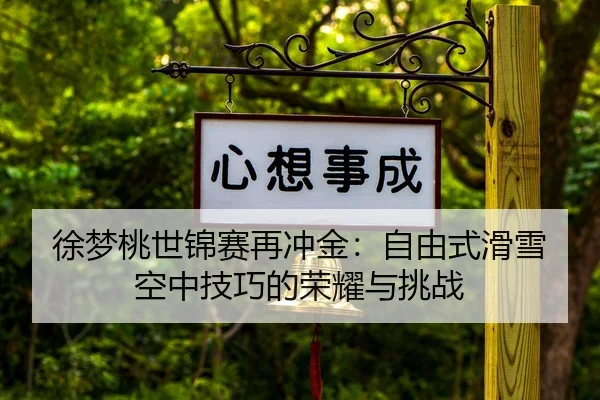 xu-meng-tao-shi-jin-sai-zai-chong-jin-zi-you-shi-hua-xue-kong-zhong-ji-qiao-de-rong-yao-yu-tiao-zhan-3-250.jpg