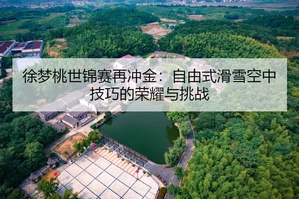 徐梦桃世锦赛再冲金：自由式滑雪空中技巧的荣耀与挑战