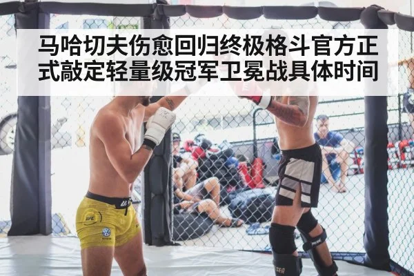 MMA champion